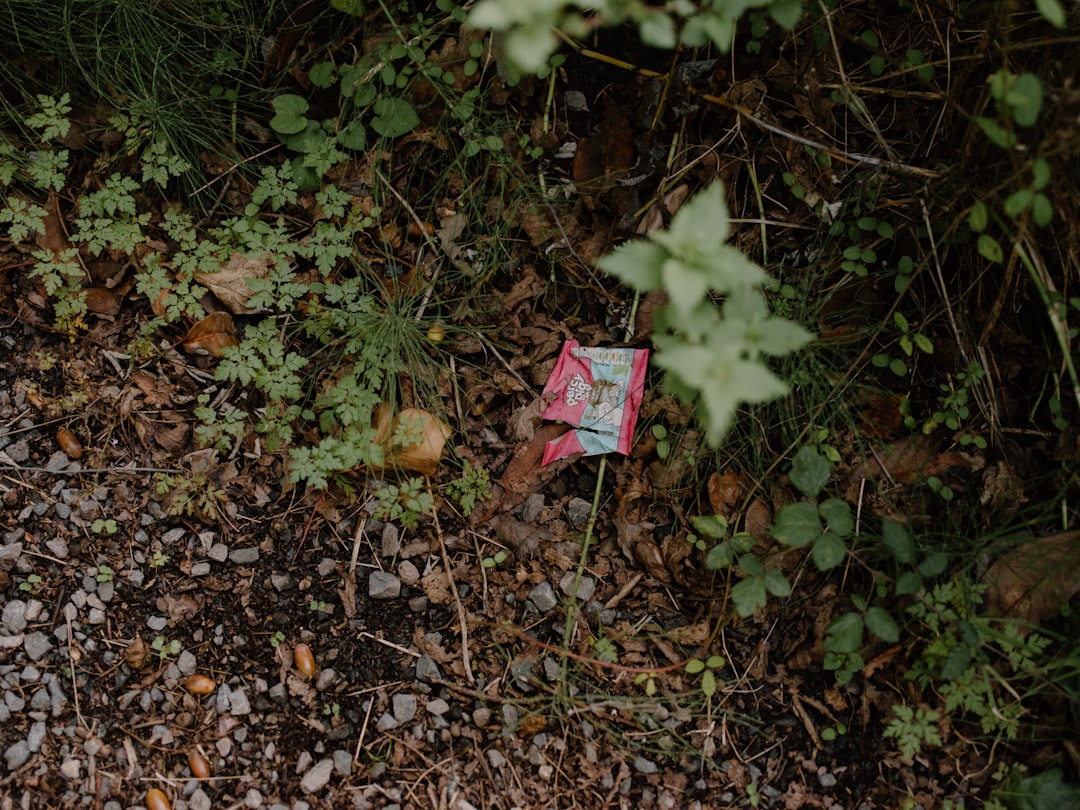 Littering