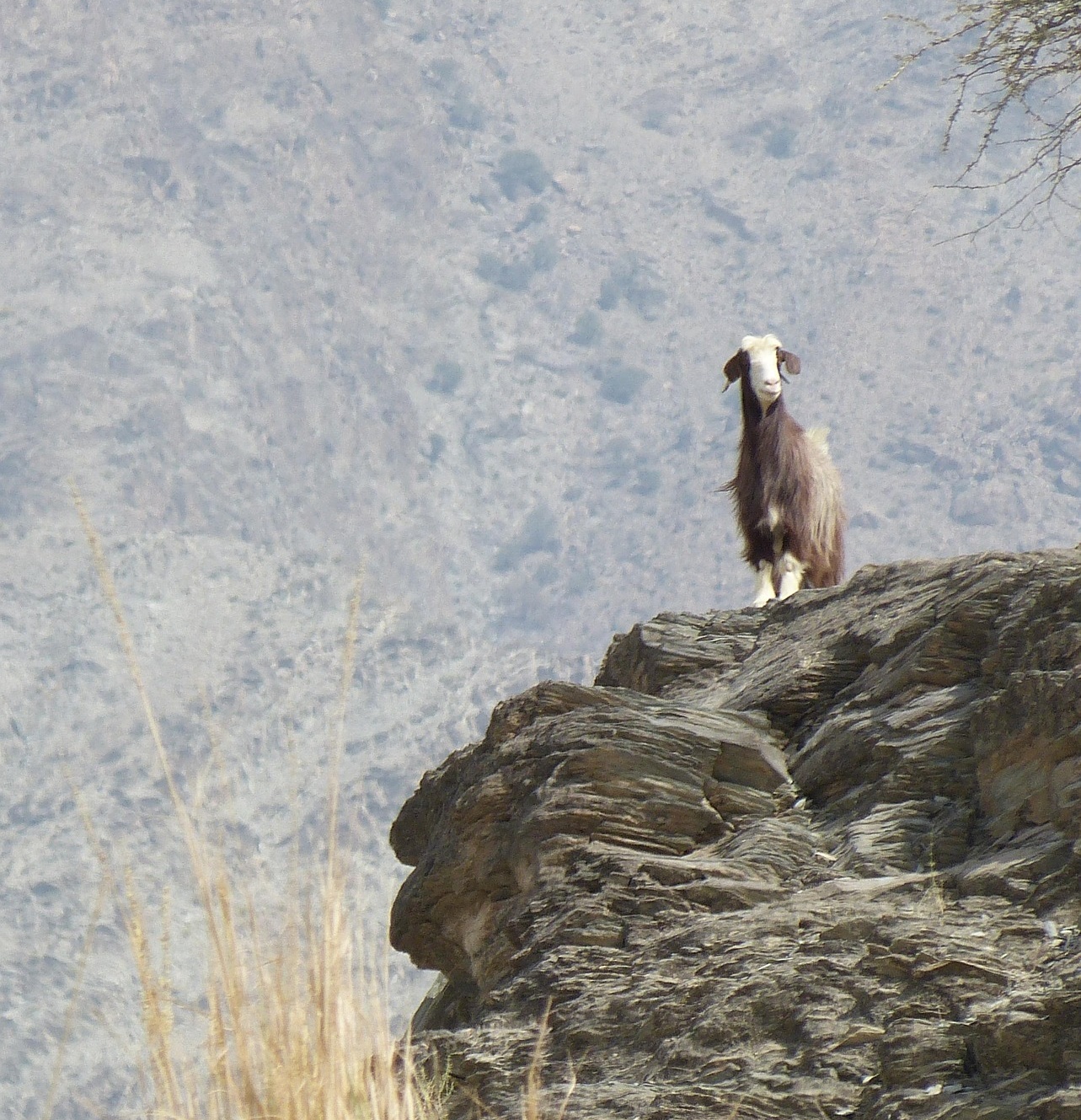 빙하 붕괴가 왜 &lsquo;보험 산업&rsquo;을 먼저 무너뜨리는가!