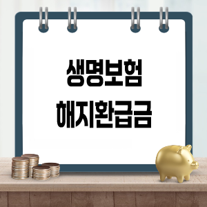 생명보험 해지환급금 완전 이해
