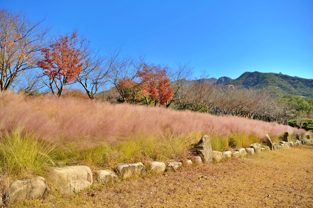 주일 낮예배 대표기도문 11월 넷째 주