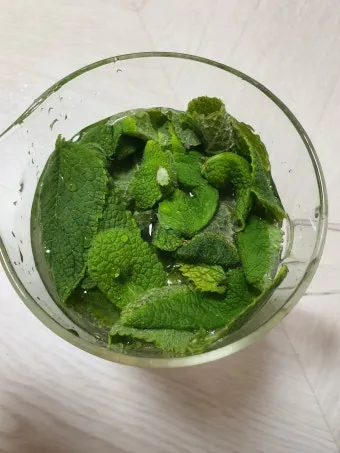 애플민트 재배 번식 빠름 물주기 요령 잎 수확_3