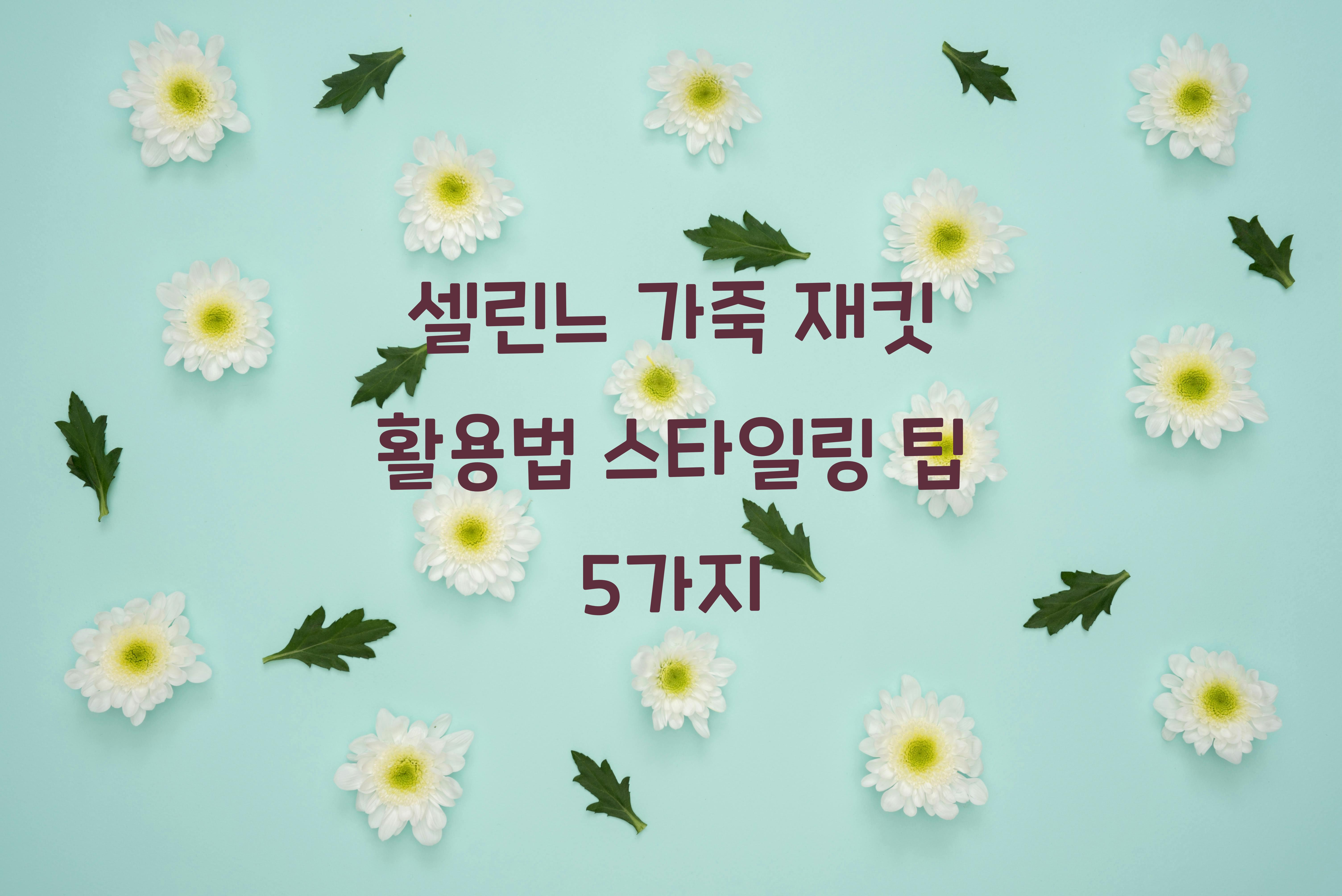 셀린느 가죽 재킷 활용법