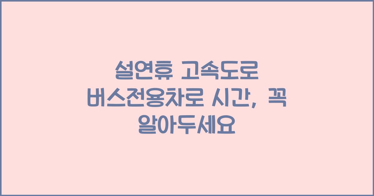 설연휴 고속도로 버스전용차로 시간