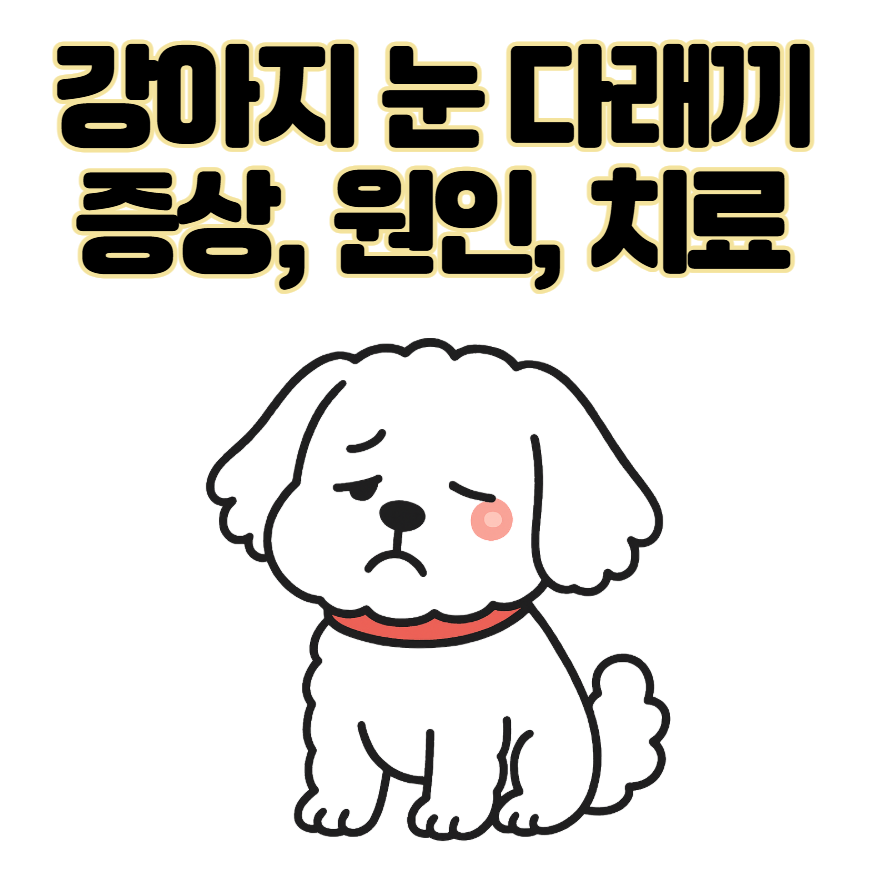 강아지 눈 다래끼 그냥 두면 안되는 이유. 증상, 원인, 치료 총정리