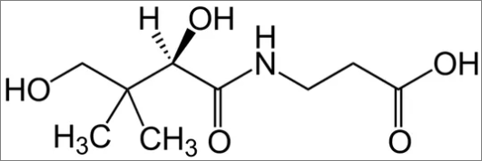 판토테산 분자구조