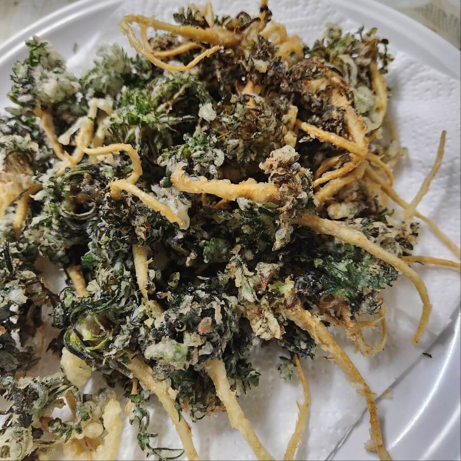 제철 봄나물 요리 냉이 튀김 봄동 겉절이 냉이된장국 냉이 요리 봄동 요리 돋나물 요리