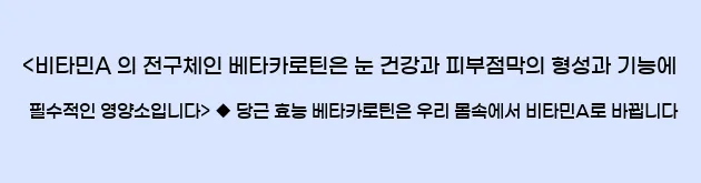  <비타민A 의 전구체인 베타카로틴은 눈 건강과 피부점막의 형성과 기능에 필수적인 영양소입니다> ◆ 당근 효능 베타카로틴은 우리 몸속에서 비타민A로 바뀝니다