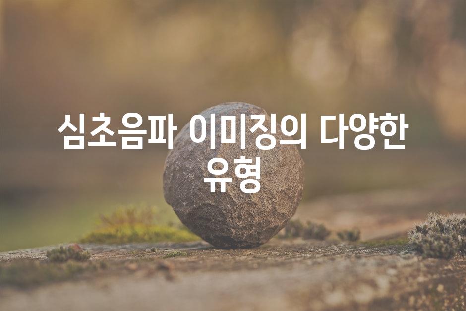 심초음파 이미징의 다양한 유형