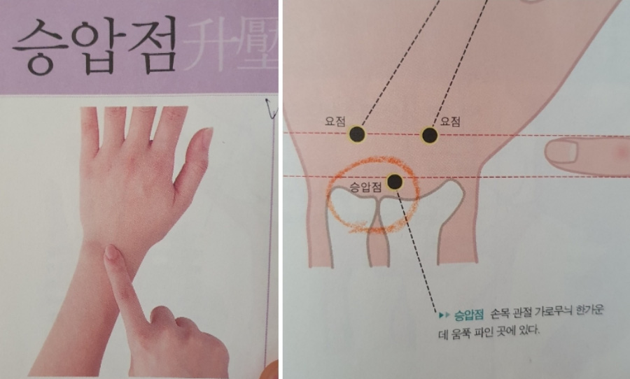 손목의 승압점의 위치와 해부학적 위치를 나타내주는 사진과 그림을 찍은 사진