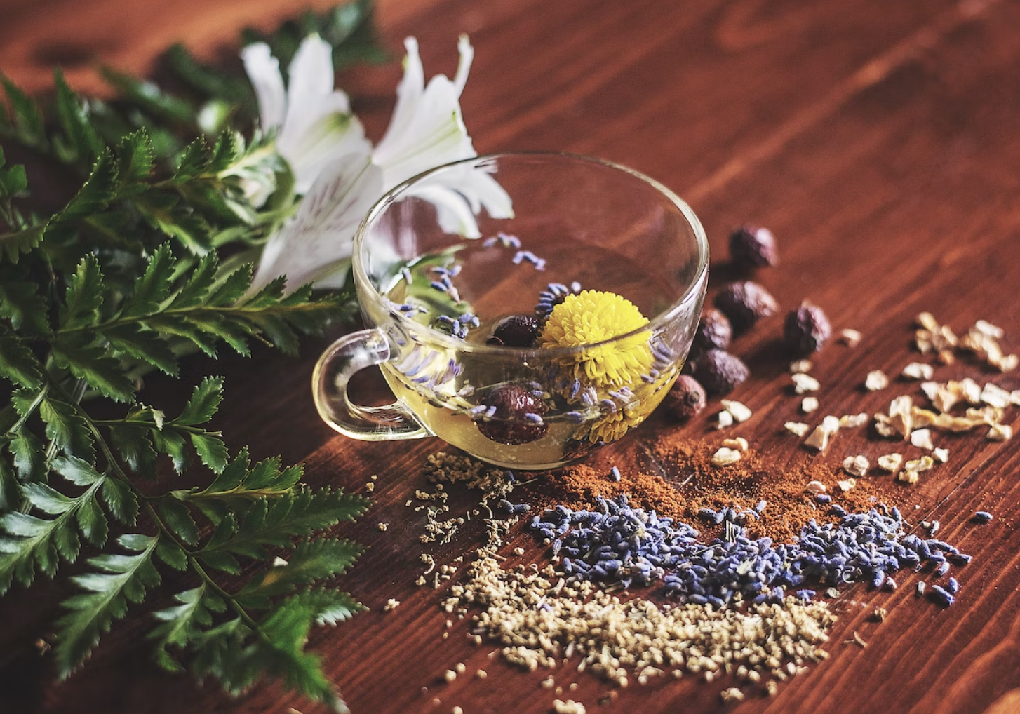 아카시아 꽃의 효능과 꽃말 만들기 베스트 3가지