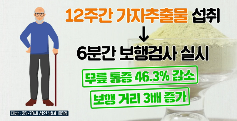 가자추출물 효능