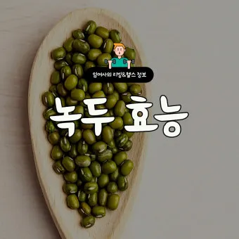 녹두 효능 부작용 녹두죽 끓이는법 칼로리 안내_12