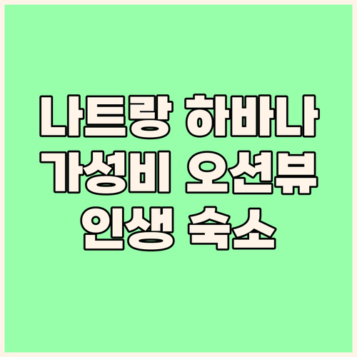 나트랑 하바나 호텔, 가성비와 오션뷰..