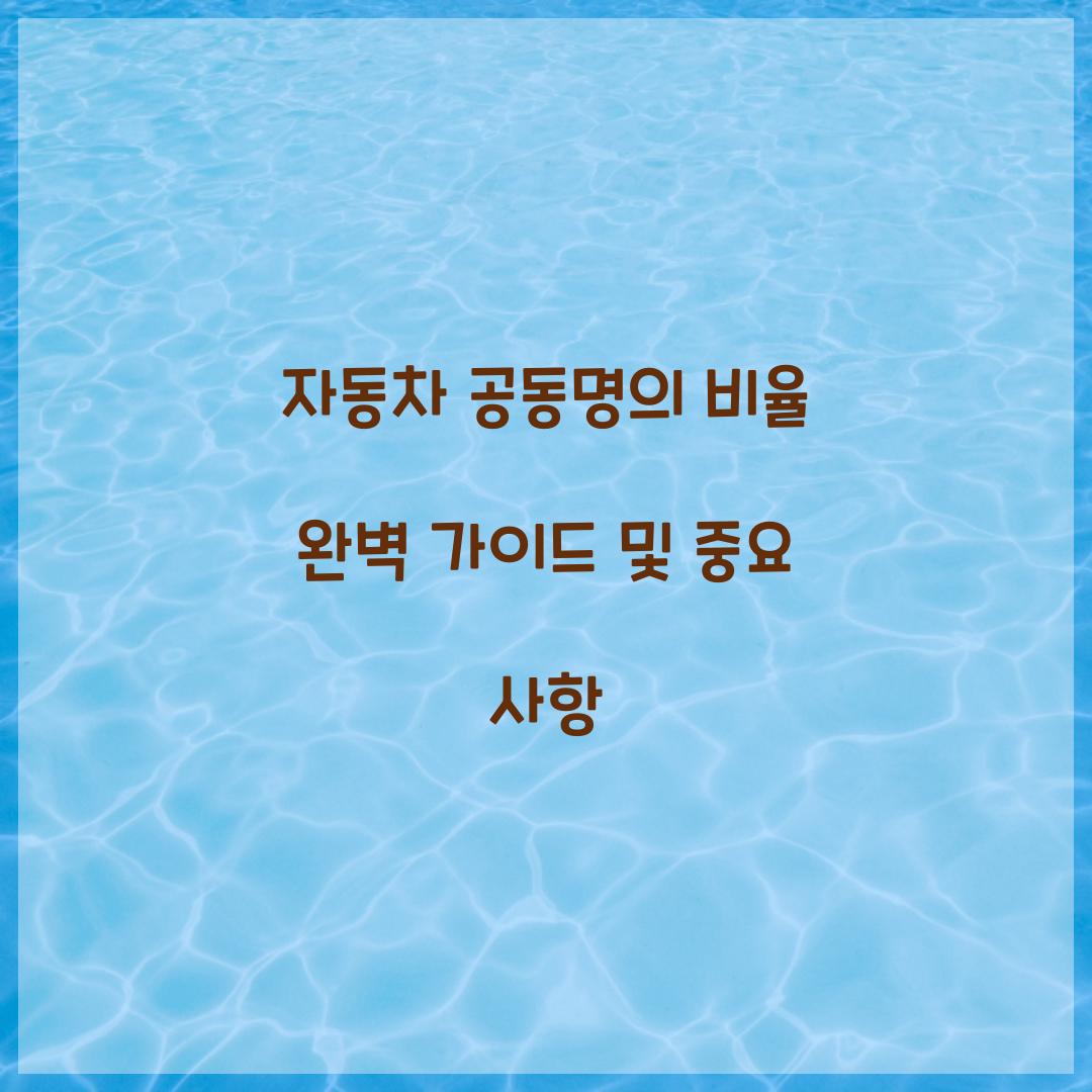 자동차 공동명의 비율
