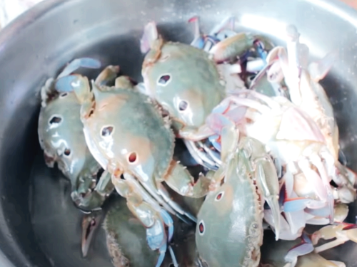 게 닦기