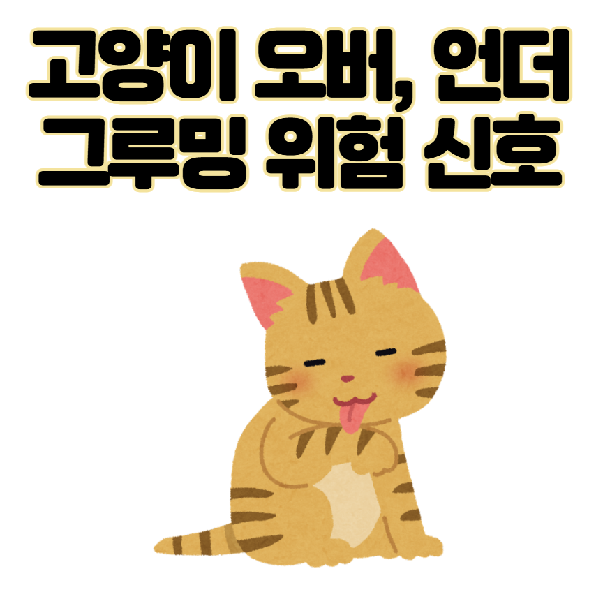 고양이가 털 핥는 이유, 단순한 습관일까? 오버 &amp; 언더 그루밍의 위험 신호!