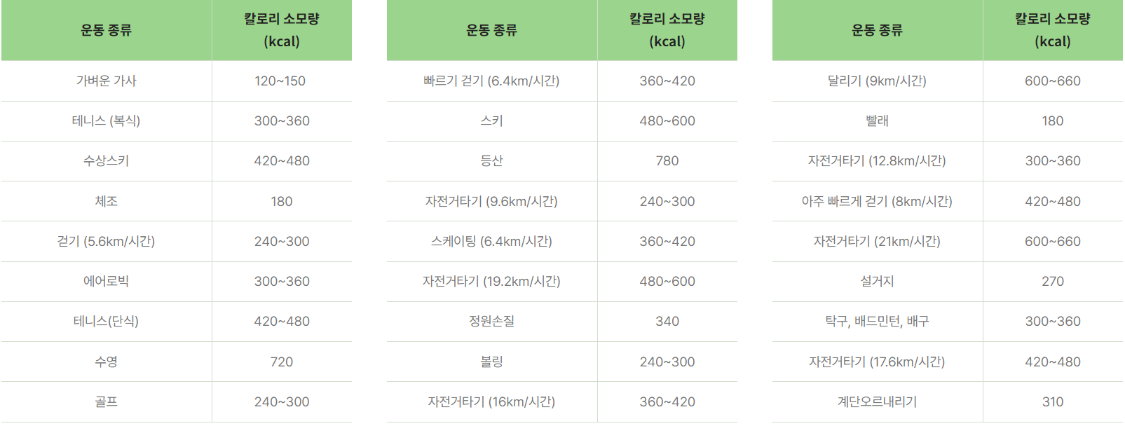 칼로리표
