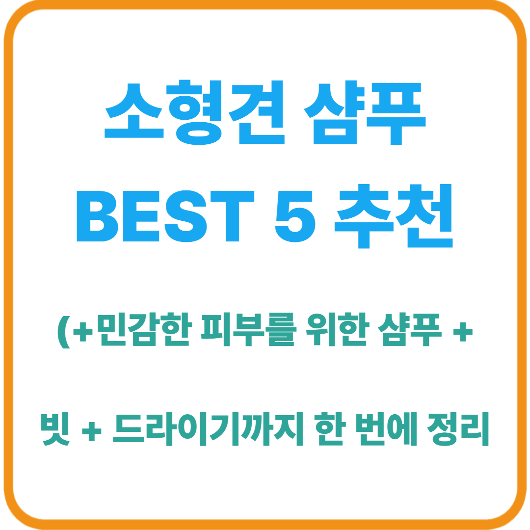 소형견 샴푸 BEST 5 추천 / 민감한 피부를 위한 샴푸 + 빗 + 드라이기까지 한 번에 정리