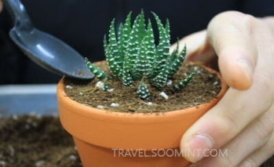 2024 양평메기수염 축제 일정&amp;#44; 예약&amp;#44; 주차장 위치