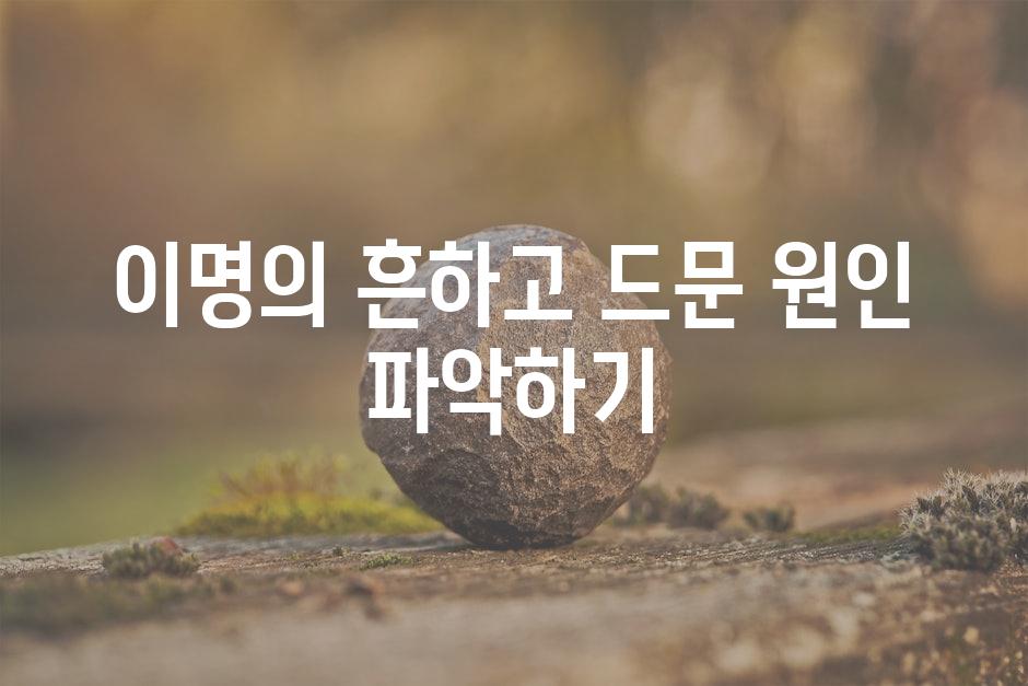 이명의 흔하고 드문 원인 파악하기