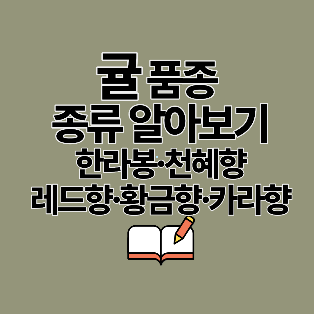 귤 품종 종류 알아보기ㅣ한라봉 천혜향 레드향 황금향 카라향