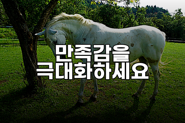 만족감을 극대화하세요