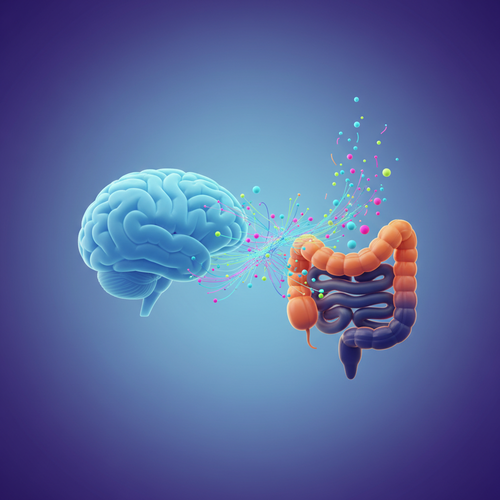 장-뇌 축(Gut-Brain Axis)이란 무엇일까요?