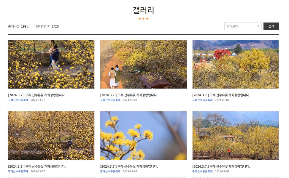 2024 구례 산수유꽃축제