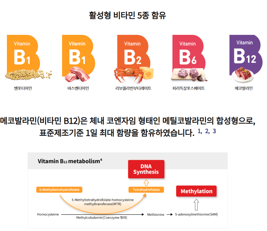 비맥스제트 성분 효과