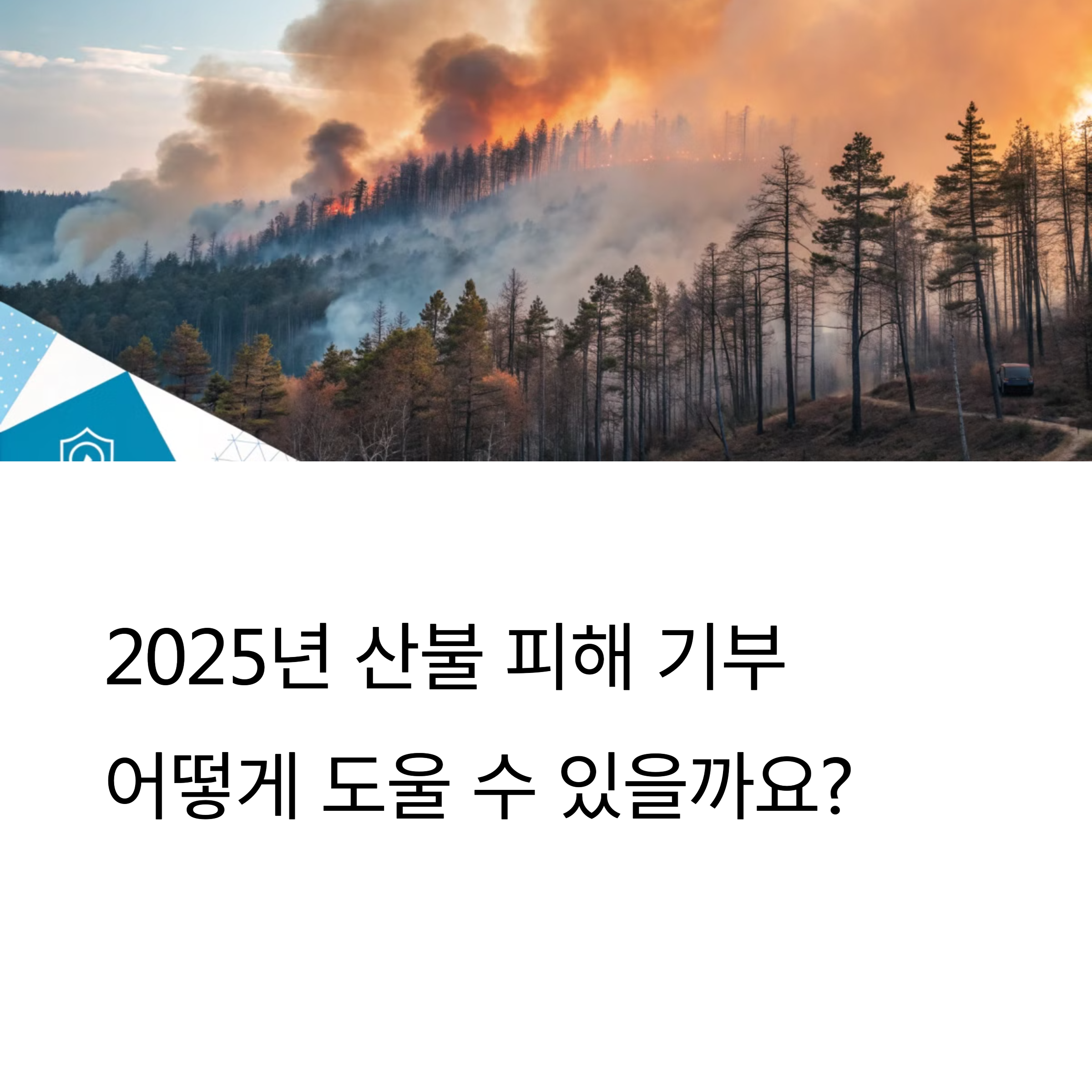 산불 피해 기부 방법 지원 가이드