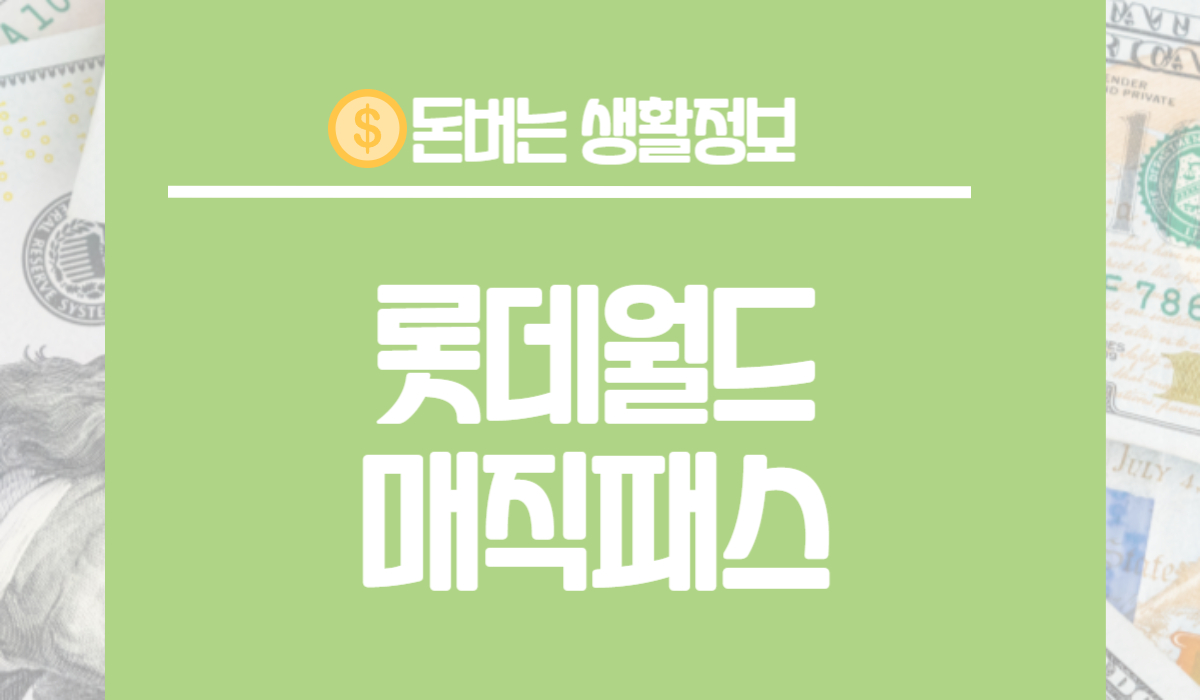 롯데월드 매직패스