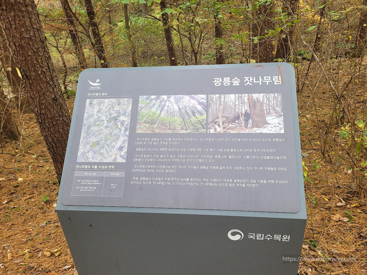광릉숲 잣나무림 소개