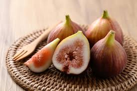 무화과 관련 사진