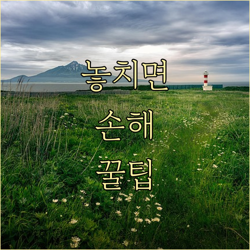 깨끗한 현석동을 위한 쓰레기 배출 핵..