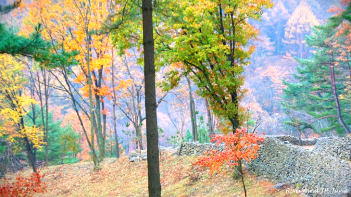 지리산 청학동