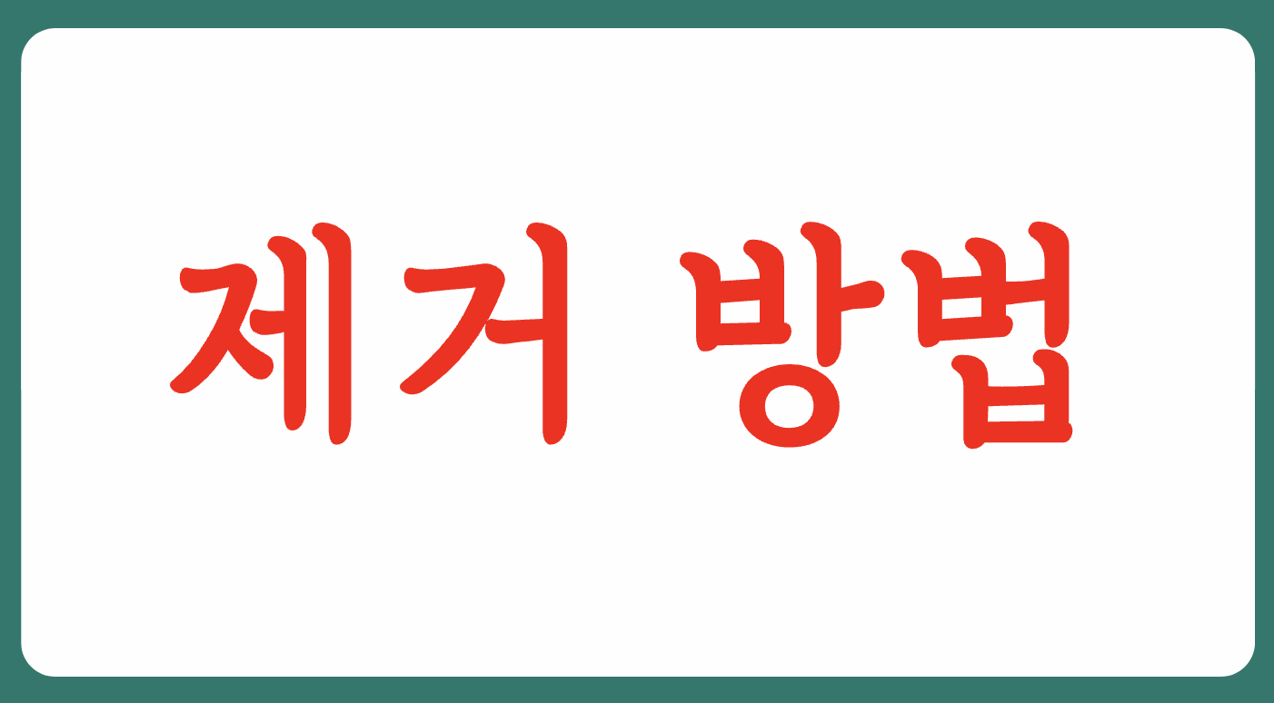 스노우 체인 장착 및 제거 운전 방법(+2023)