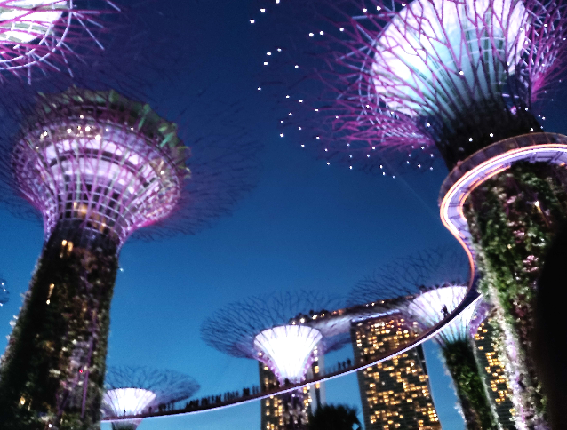 가든스 베이더 베이 야간 슈퍼트리쇼