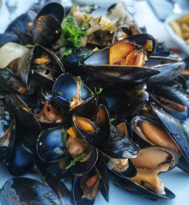 단백질 풍부한 홍합 사진