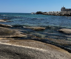 2024 강원도 해수욕장 개장일 추천 BEST 7