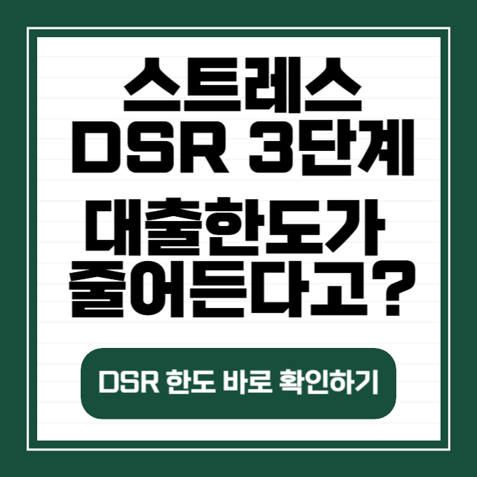 스트레스 DSR 3단계 계산