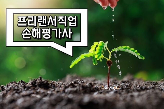 2024년 손해평가사 시험일정 및 시험기출문제