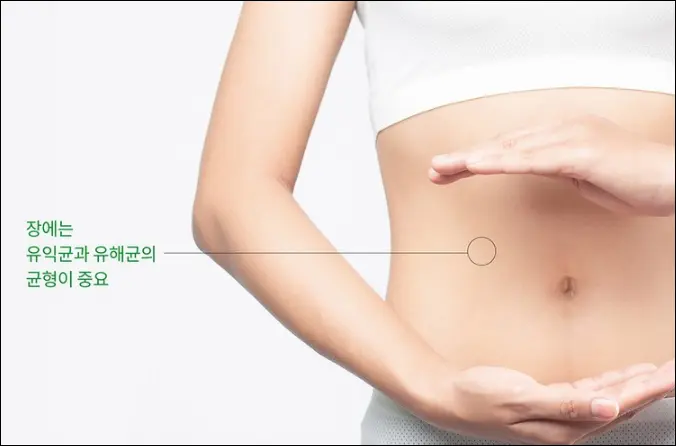 BNR17 비에날씬프로 바이오틱스