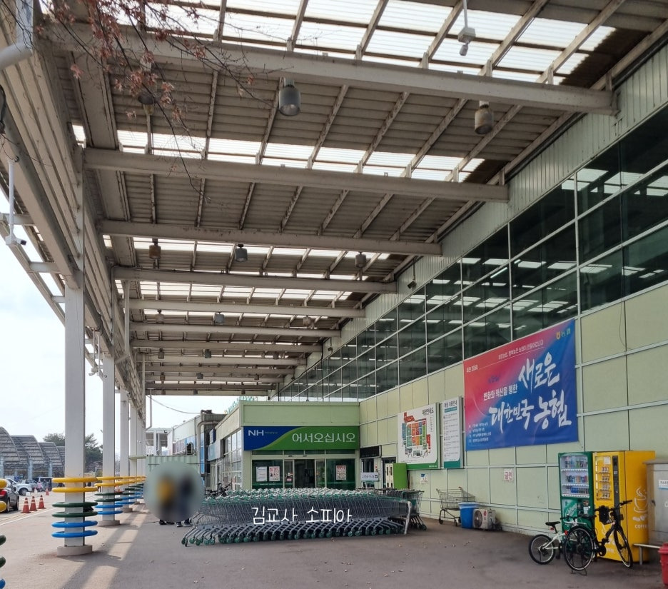 고양피크닉시민 공원 이용 후기 🏞️🌿&amp; 팁