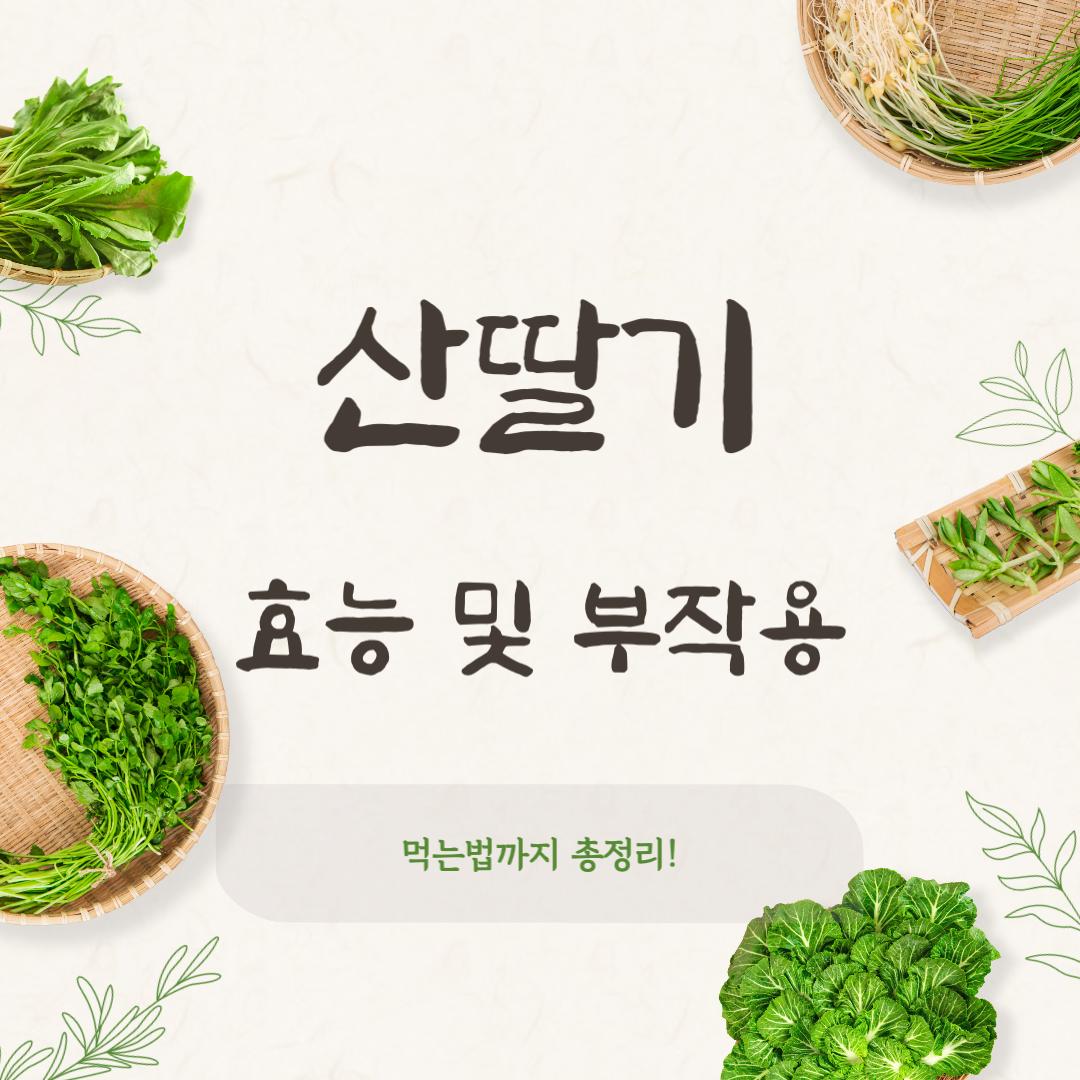 산딸기 효능과 부작용