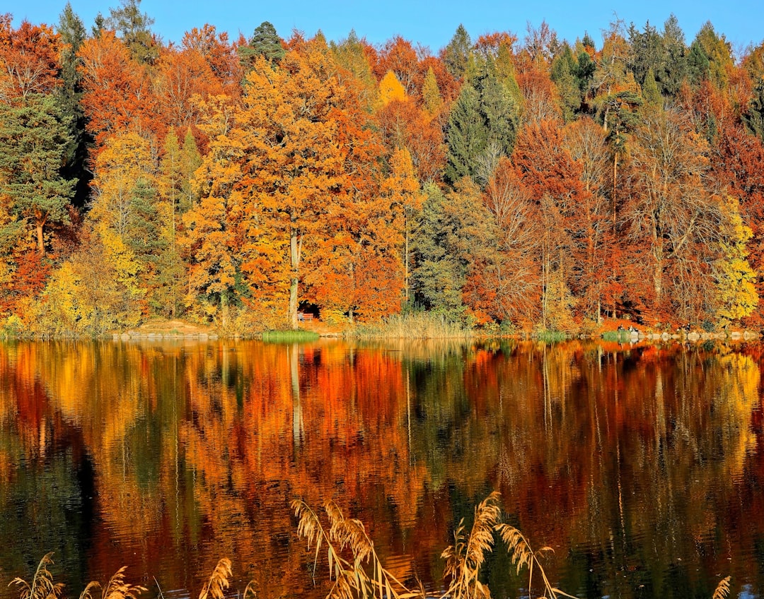 Autumn.