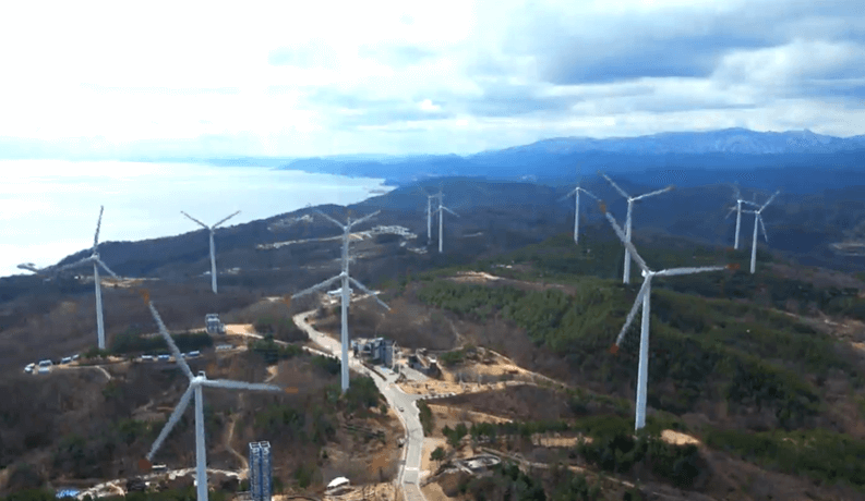 영덕 진달래 심기 착한 여행