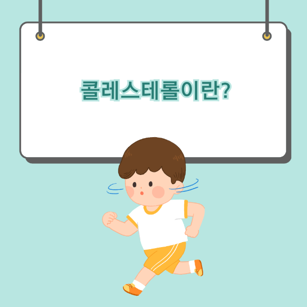 콜레스테롤