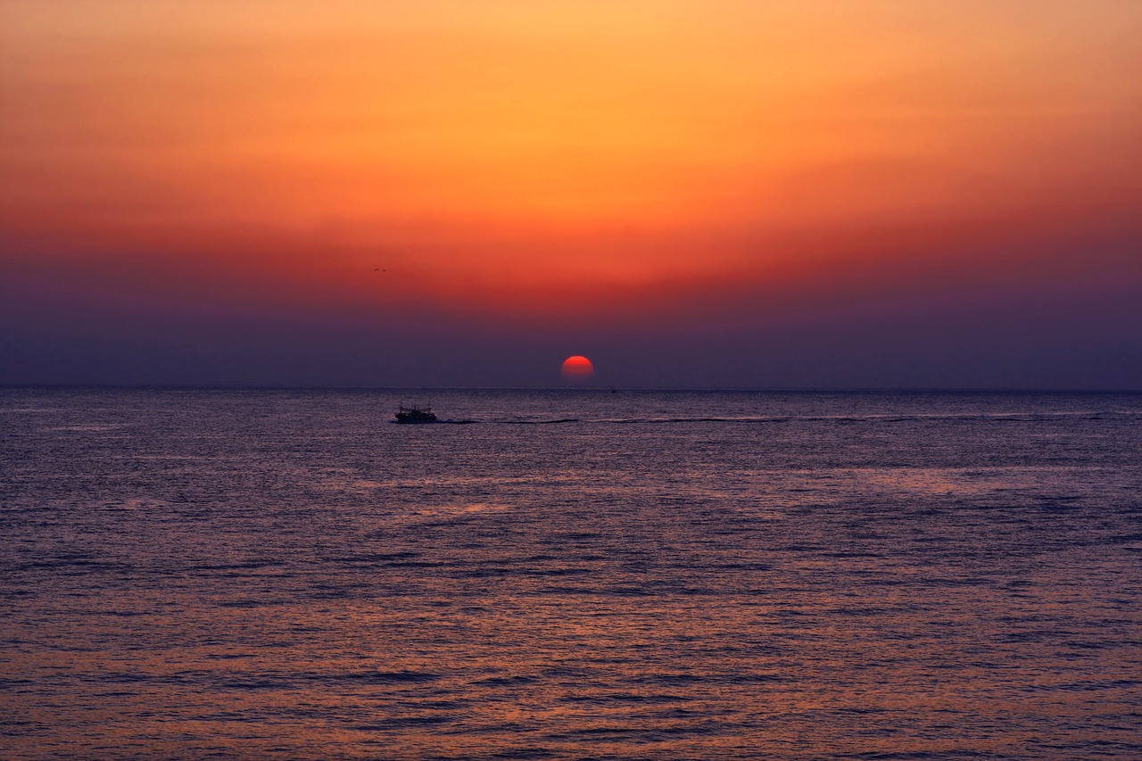 울릉도 배편 시간표