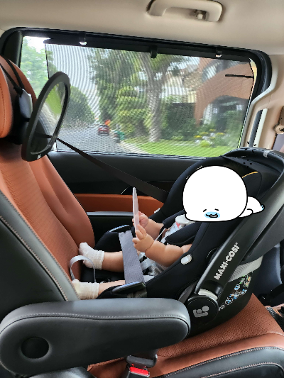 렌트한 차안에서 카시트에 잘 앉아있는 홍시