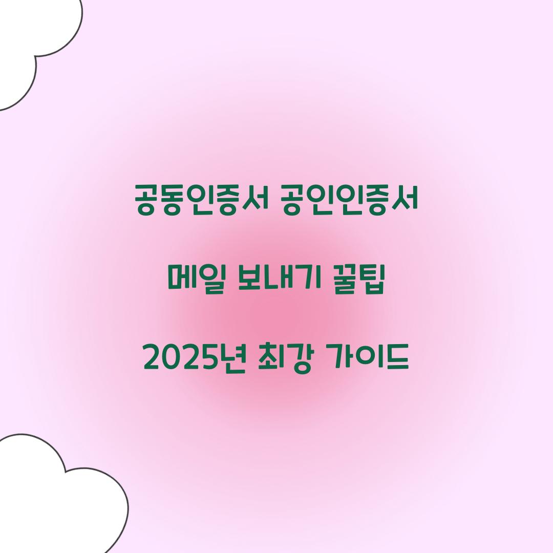 공동인증서 공인인증서 메일 보내기